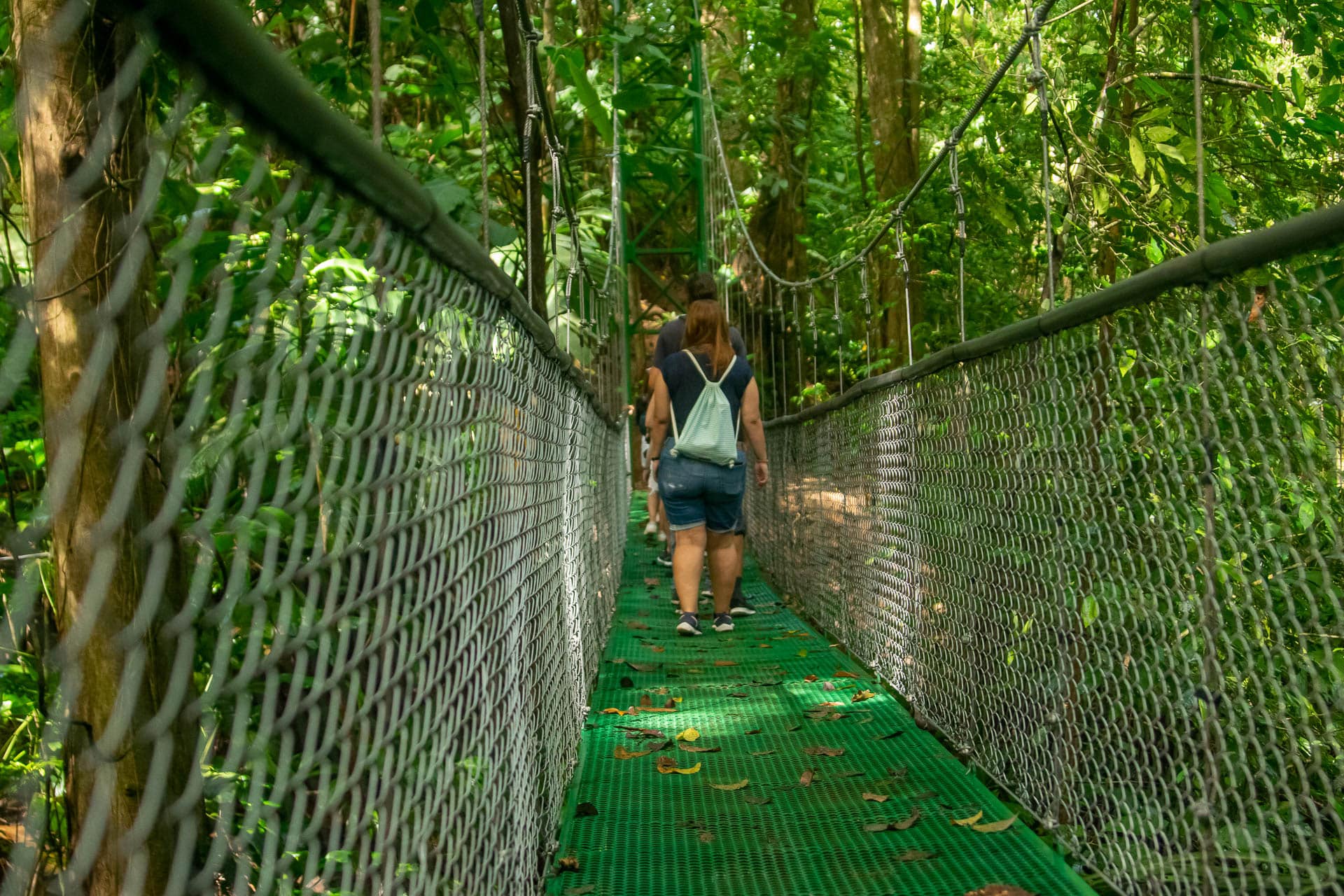 Person walking across hanging bridge through dense jungle