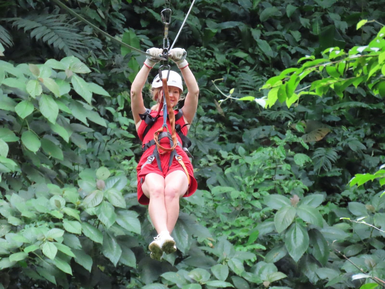 Zip line platform high in jungle trees