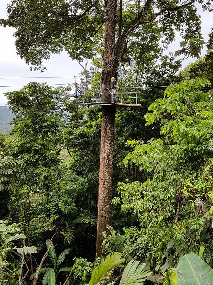 Person standing on zip line platform high in a treetop