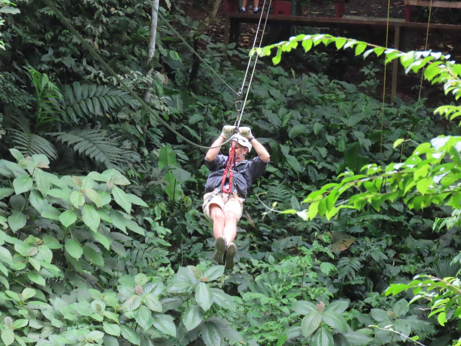 Person zip lining through the jungle